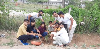 Yuva Morcha workers planted saplings on Himanshu Sharma's birthday